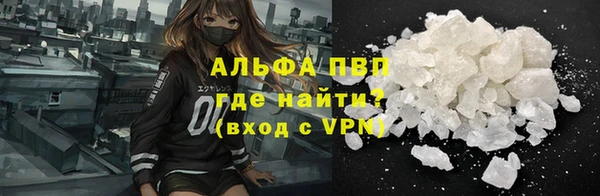 стафф Иннополис