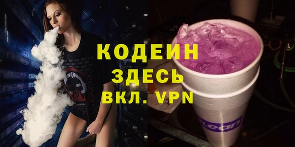 индика Каменск-Шахтинский