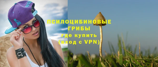 индика Каменск-Шахтинский