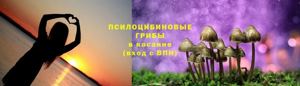 2c-b Инсар