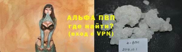 стафф Иннополис