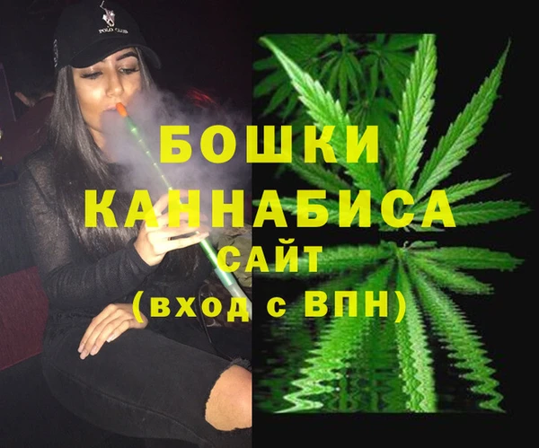 2c-b Инсар