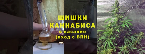 стафф Иннополис