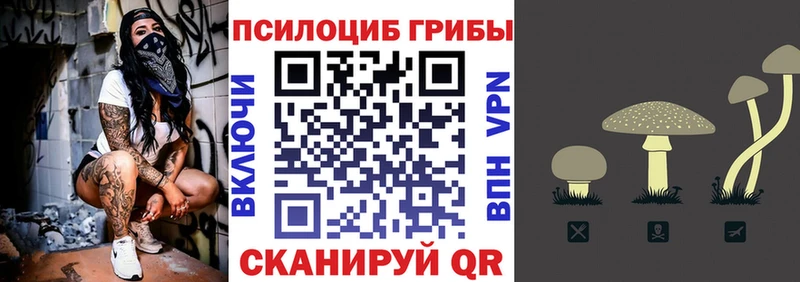 Псилоцибиновые грибы GOLDEN TEACHER  Купить закладки  Лабинск 